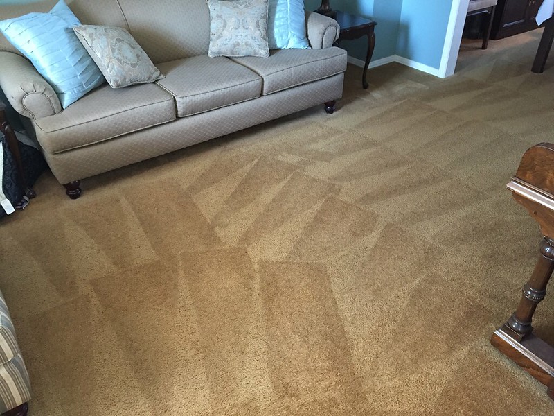 carpet cleaner